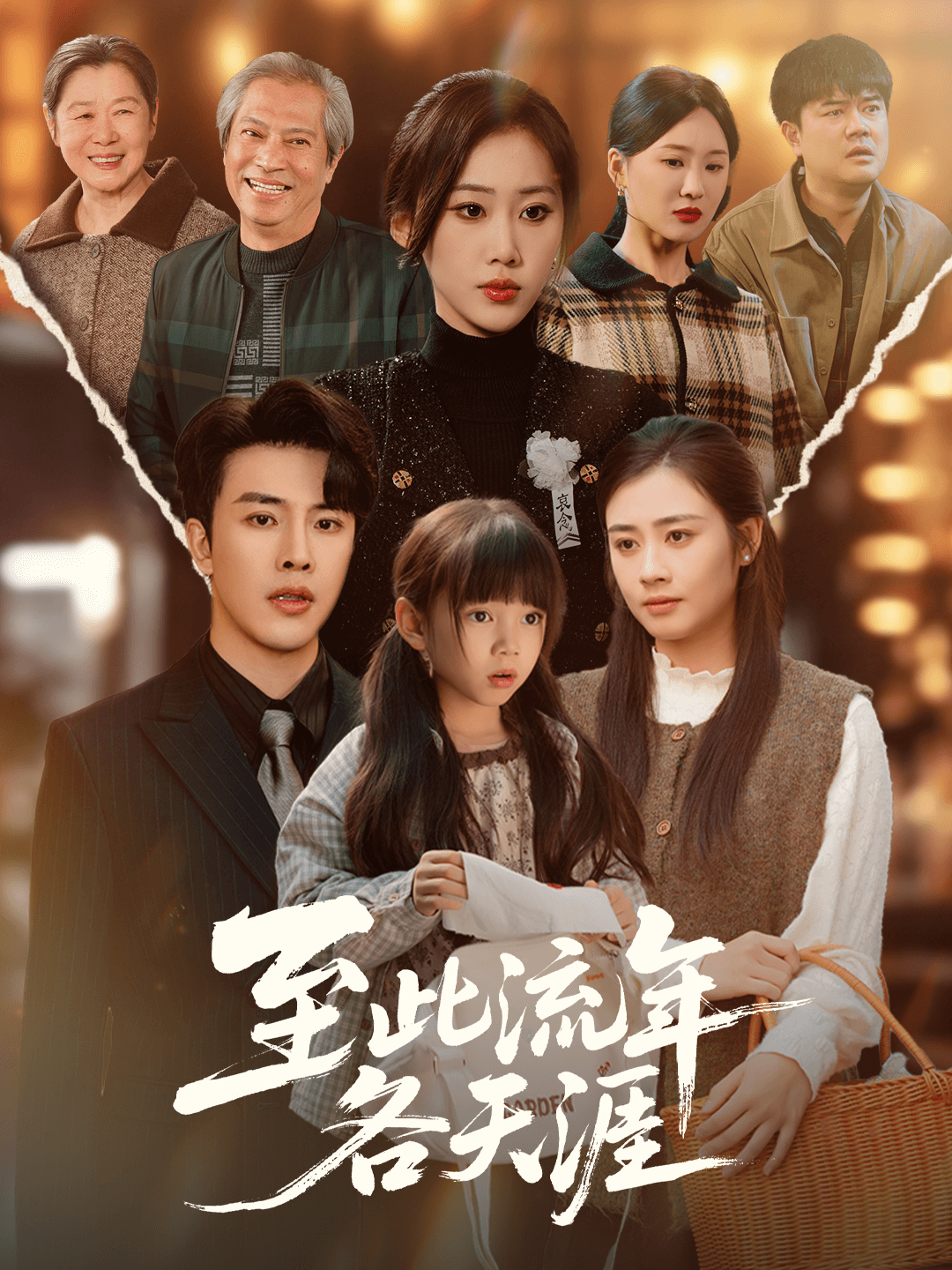 至此流年各天涯(全集)