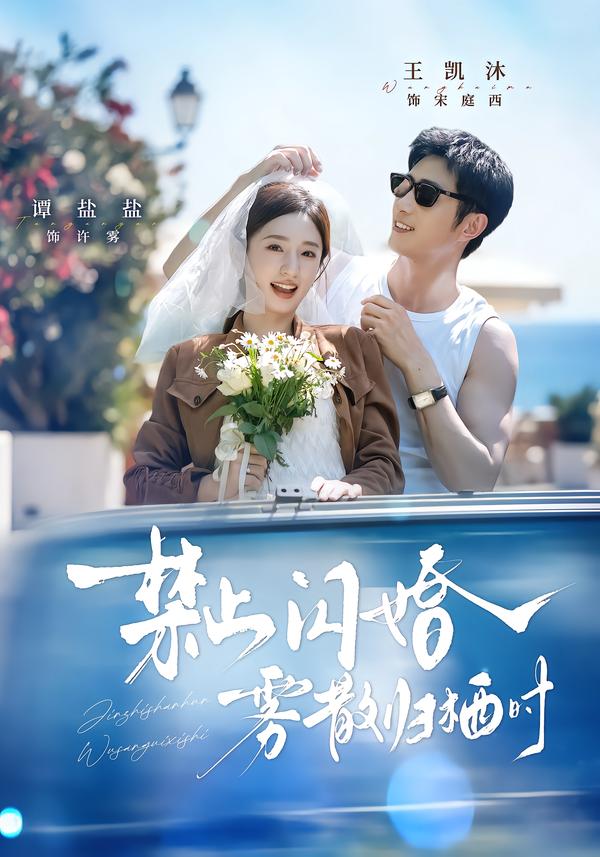 禁止闪婚，雾散归栖时(全集)