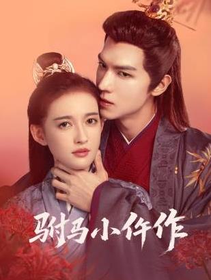 驸马小仵作
